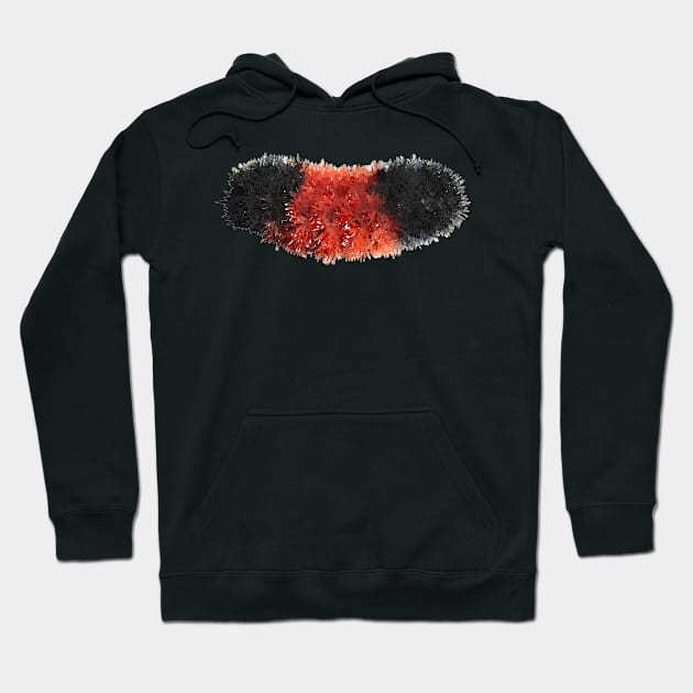 Woolly Bear Caterpillar Fuzzy Hoodie by Griffelkinn